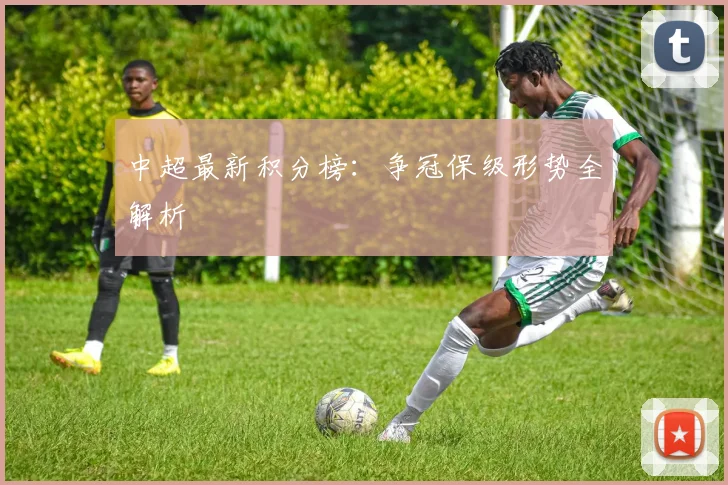 中超最新积分榜：争冠保级形势全解析